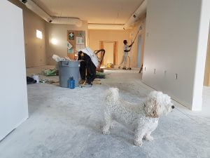 woningrenovatie renoveren